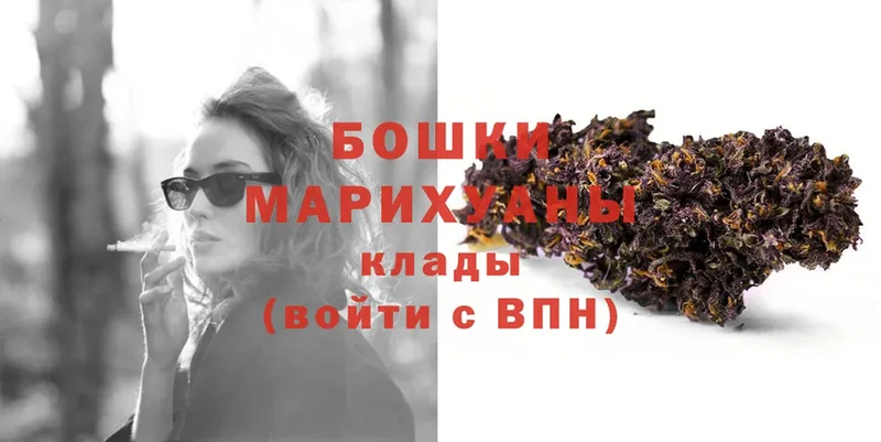 Бошки марихуана Amnesia  Киреевск 